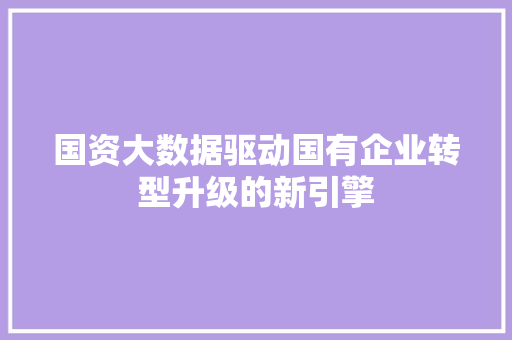 国资大数据驱动国有企业转型升级的新引擎  第1张
