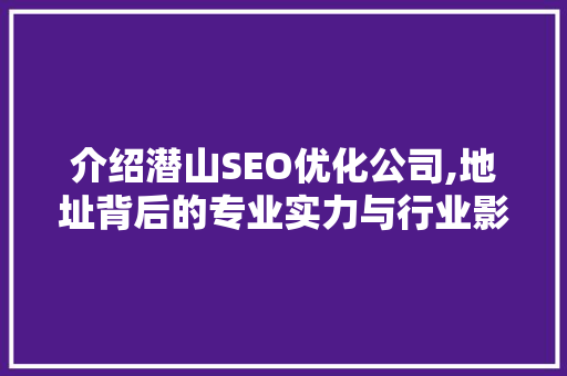 介绍潜山SEO优化公司,地址背后的专业实力与行业影响力