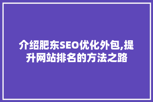 介绍肥东SEO优化外包,提升网站排名的方法之路