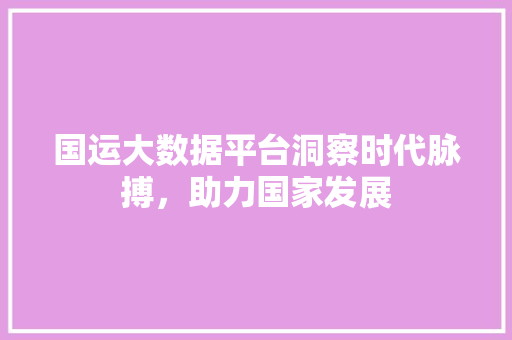 国运大数据平台洞察时代脉搏，助力国家发展