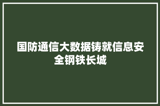 国防通信大数据铸就信息安全钢铁长城  第1张