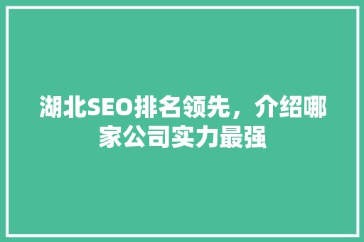 湖北SEO排名领先，介绍哪家公司实力最强