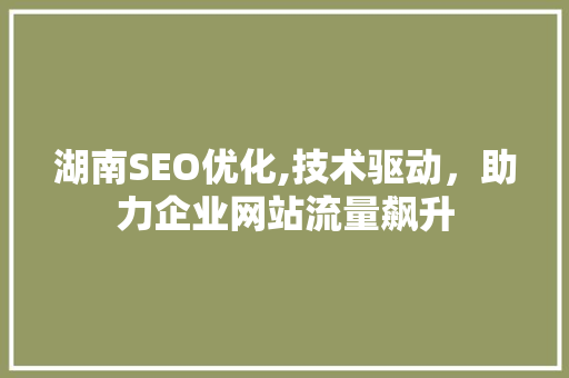 湖南SEO优化,技术驱动，助力企业网站流量飙升