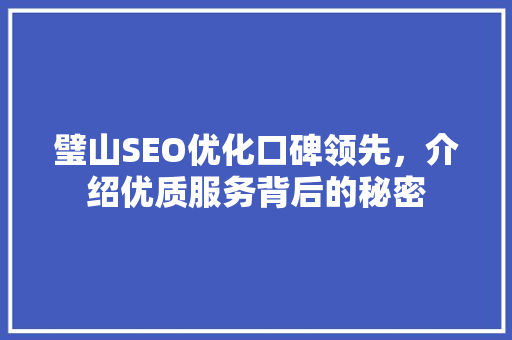 璧山SEO优化口碑领先，介绍优质服务背后的秘密
