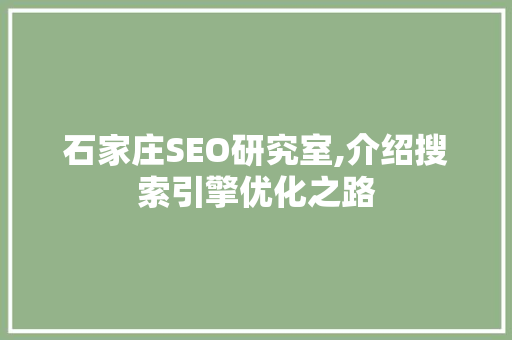 石家庄SEO研究室,介绍搜索引擎优化之路