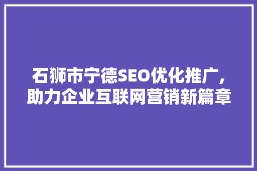 石狮市宁德SEO优化推广,助力企业互联网营销新篇章