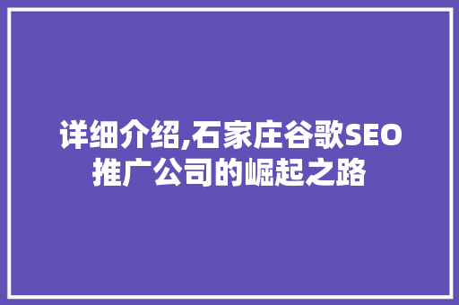 详细介绍,石家庄谷歌SEO推广公司的崛起之路