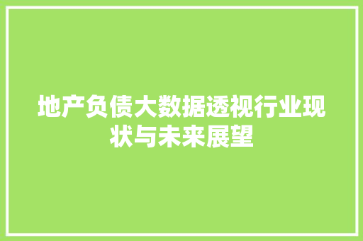 地产负债大数据透视行业现状与未来展望  第1张