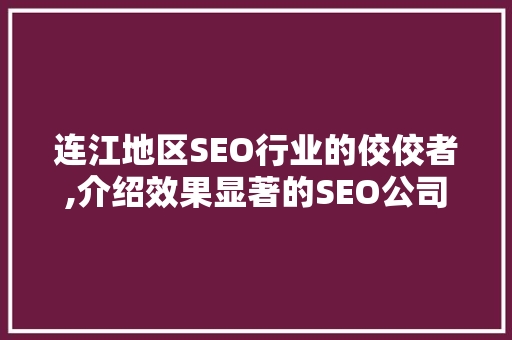 连江地区SEO行业的佼佼者,介绍效果显著的SEO公司