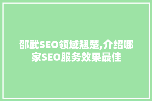 邵武SEO领域翘楚,介绍哪家SEO服务效果最佳