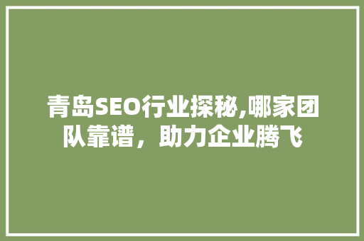 青岛SEO行业探秘,哪家团队靠谱，助力企业腾飞
