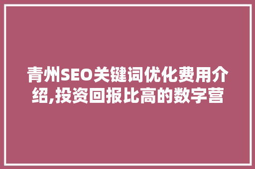 青州SEO关键词优化费用介绍,投资回报比高的数字营销之路