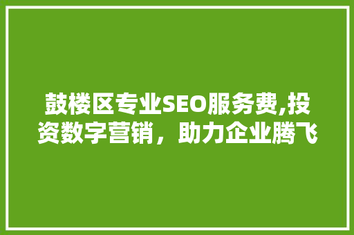 鼓楼区专业SEO服务费,投资数字营销，助力企业腾飞