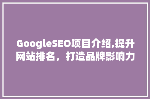 GoogleSEO项目介绍,提升网站排名，打造品牌影响力