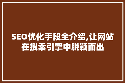 SEO优化手段全介绍,让网站在搜索引擎中脱颖而出