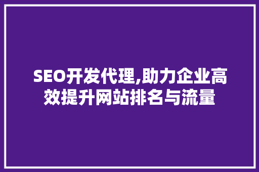 SEO开发代理,助力企业高效提升网站排名与流量