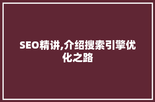 SEO精讲,介绍搜索引擎优化之路