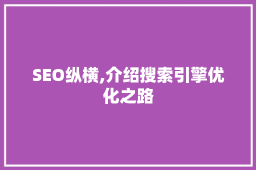 SEO纵横,介绍搜索引擎优化之路