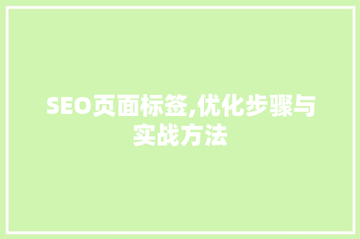 SEO页面标签,优化步骤与实战方法
