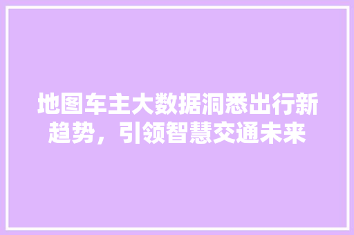 地图车主大数据洞悉出行新趋势，引领智慧交通未来  第1张