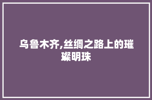 乌鲁木齐,丝绸之路上的璀璨明珠