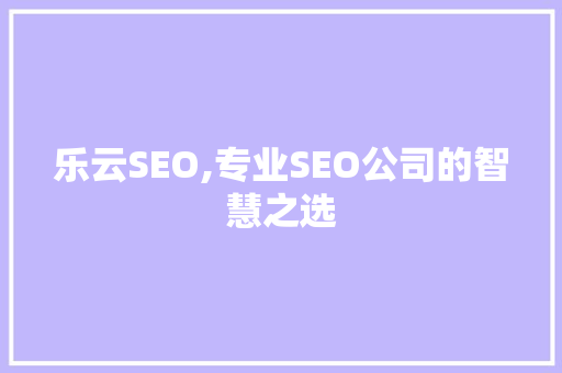 乐云SEO,专业SEO公司的智慧之选  第1张