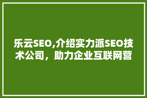 乐云SEO,介绍实力派SEO技术公司，助力企业互联网营销新篇章  第1张