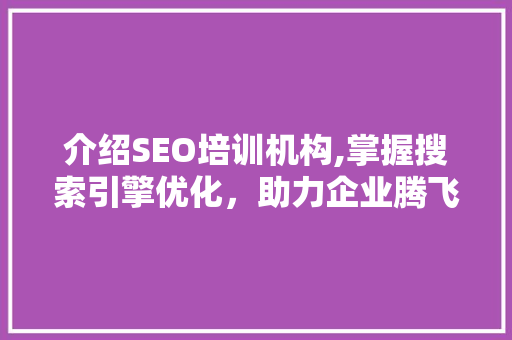 介绍SEO培训机构,掌握搜索引擎优化，助力企业腾飞