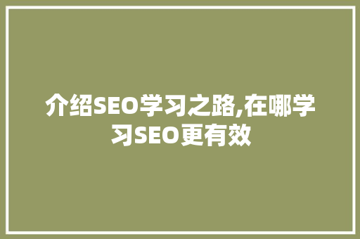 介绍SEO学习之路,在哪学习SEO更有效