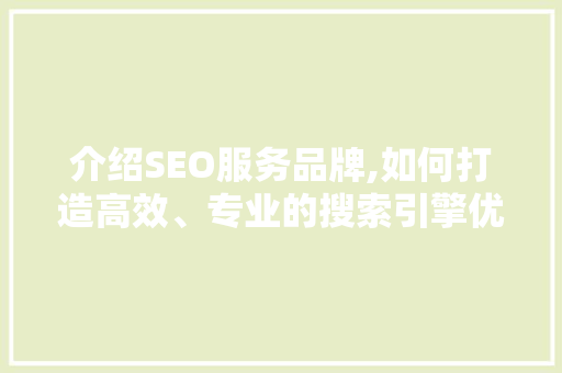 介绍SEO服务品牌,如何打造高效、专业的搜索引擎优化步骤