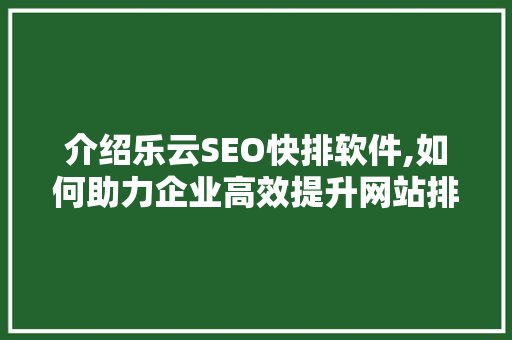 介绍乐云SEO快排软件,如何助力企业高效提升网站排名