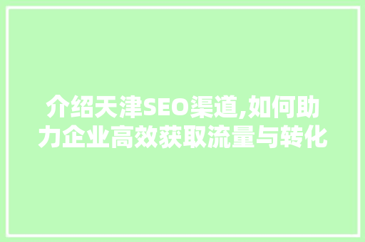 介绍天津SEO渠道,如何助力企业高效获取流量与转化