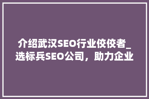 介绍武汉SEO行业佼佼者_选标兵SEO公司，助力企业高效提升网络营销业绩