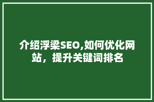 介绍浮梁SEO,如何优化网站，提升关键词排名
