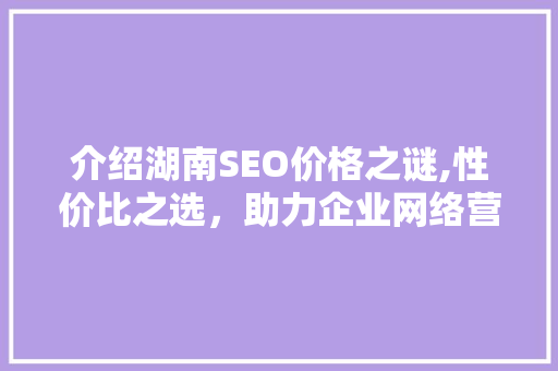 介绍湖南SEO价格之谜,性价比之选，助力企业网络营销腾飞
