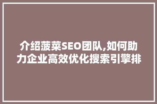 介绍菠菜SEO团队,如何助力企业高效优化搜索引擎排名