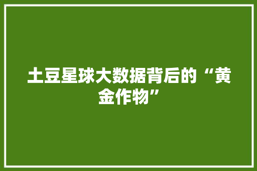 土豆星球大数据背后的“黄金作物”
