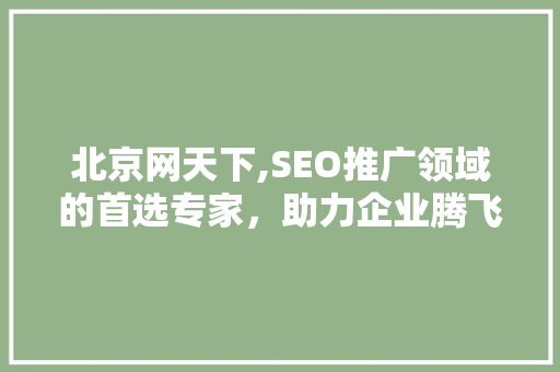 北京网天下,SEO推广领域的首选专家，助力企业腾飞