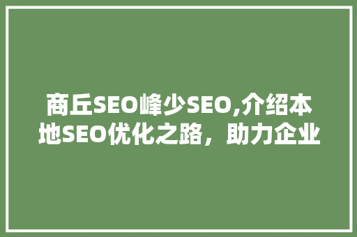 商丘SEO峰少SEO,介绍本地SEO优化之路，助力企业腾飞