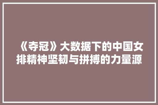 《夺冠》大数据下的中国女排精神坚韧与拼搏的力量源泉