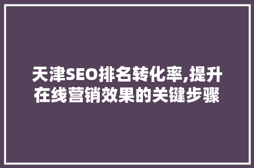 天津SEO排名转化率,提升在线营销效果的关键步骤