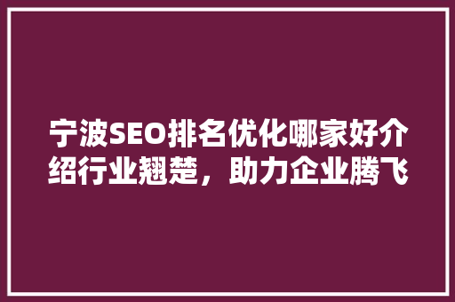 宁波SEO排名优化哪家好介绍行业翘楚，助力企业腾飞