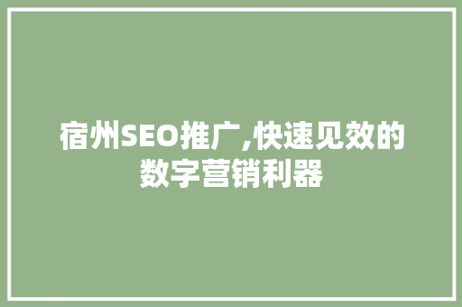 宿州SEO推广,快速见效的数字营销利器