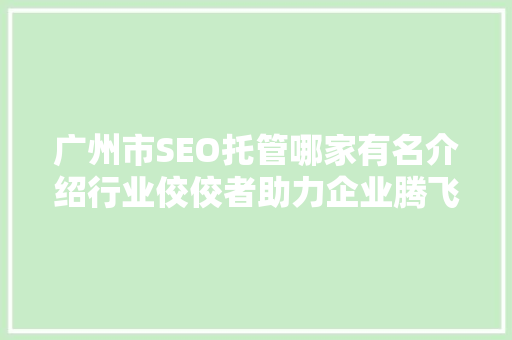 广州市SEO托管哪家有名介绍行业佼佼者助力企业腾飞