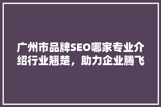 广州市品牌SEO哪家专业介绍行业翘楚，助力企业腾飞