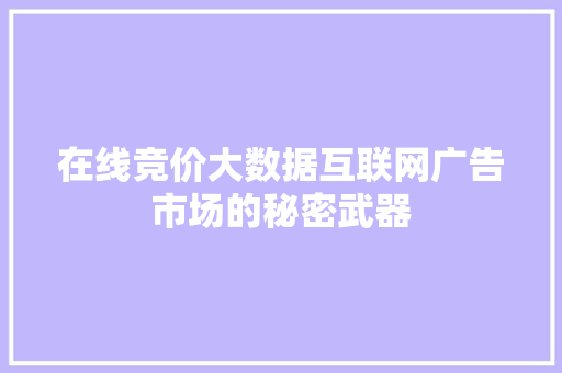 在线竞价大数据互联网广告市场的秘密武器