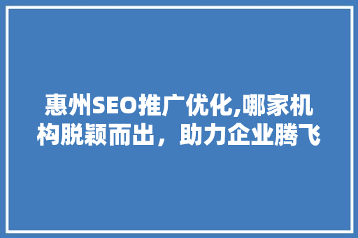 惠州SEO推广优化,哪家机构脱颖而出，助力企业腾飞