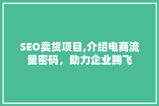 SEO卖货项目,介绍电商流量密码，助力企业腾飞
