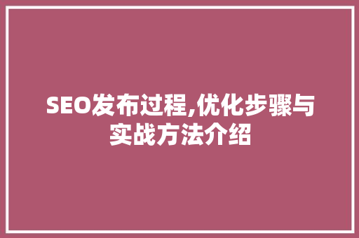 SEO发布过程,优化步骤与实战方法介绍