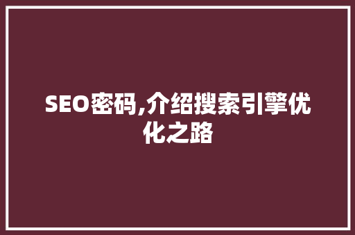 SEO密码,介绍搜索引擎优化之路  第1张